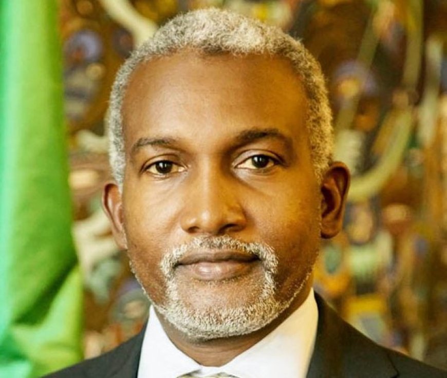 Nigeria, Angola sign visa exemption for diplomatic passport holders