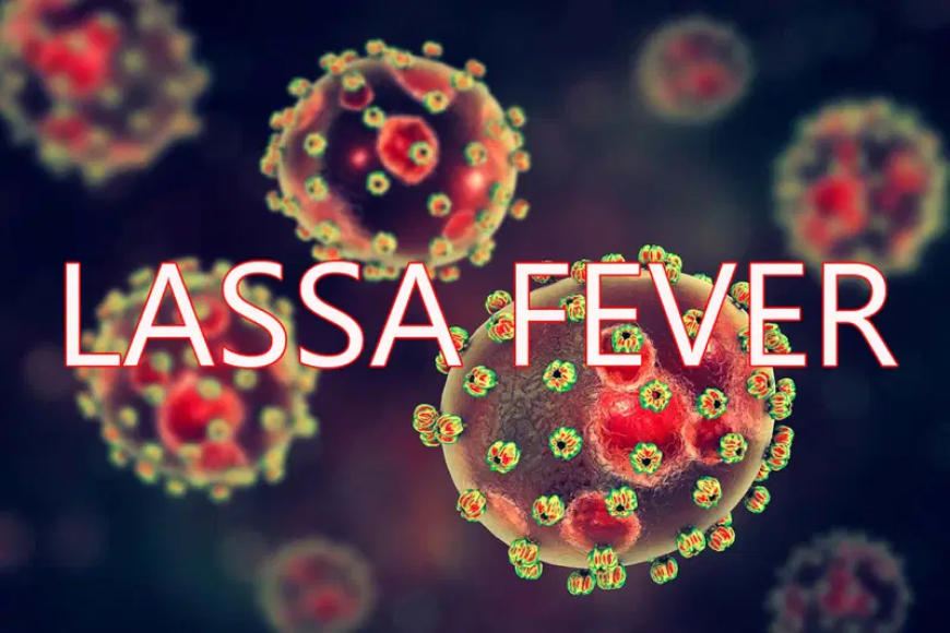 Lassa fever cases jump 57% in one week as 31 Nigerians die