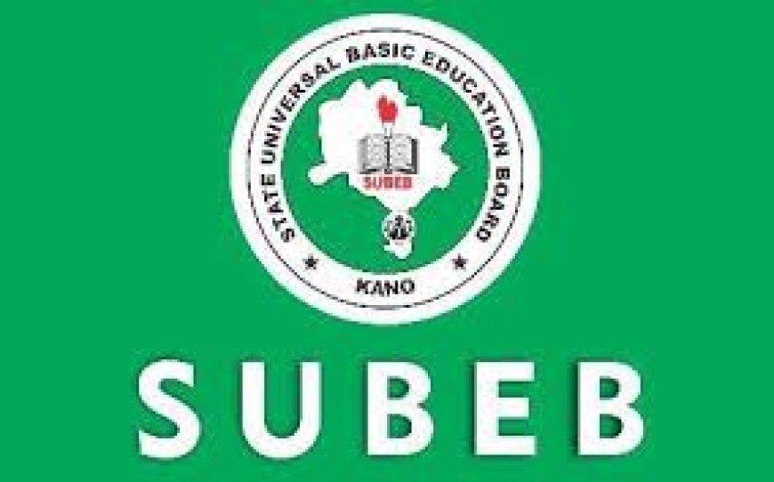 Kano to establish 30 learning centres for out-of-school children