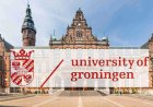 2027 Eric Bleumink Scholarship in the Netherlands | Fully Funded