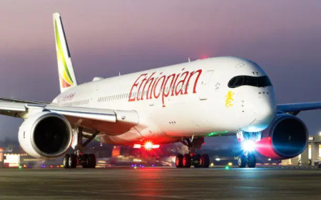 Iran: Ethiopian airlines cancel flights to 10 middle east destinations