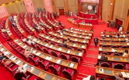 Senate withdraws motion seeking CAC Registrar’s removal
