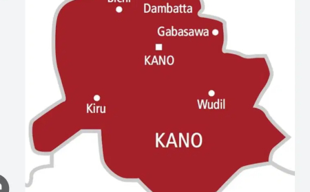 Kano Commissioner for Water Resources resigns
