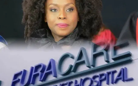 Medical Council suspends three doctors over Chimamanda Adichie’s son’s death