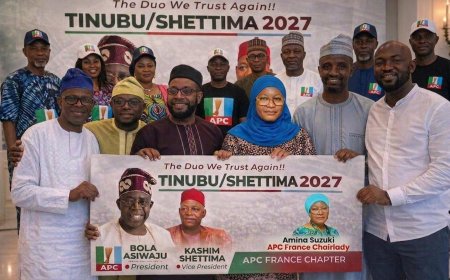 2027: APC France mobilises Nigerians abroad for Tinubu