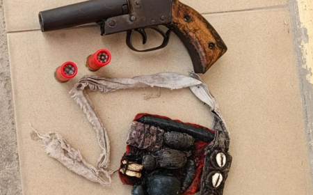 Police arrest two cultists with firearm at Ibadan poly