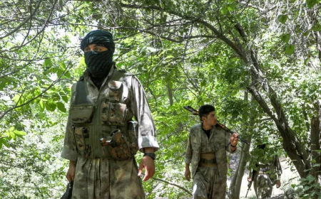 Iranian military strikes Kurdish groups in Iraq