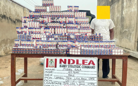 NDLEA seizes 1,499 bottles of codeine syrup in Kano, arrest suspect