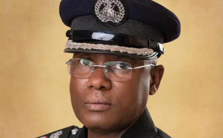 Police arrest suspect for inciting public disorder in Kano – CP