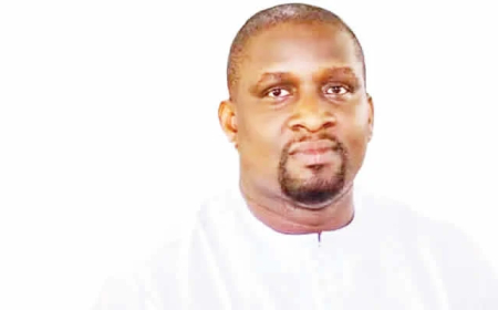 Politics should not be full-time career, says APGA chairman