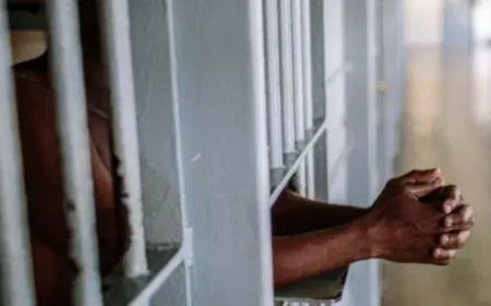 Nigerian jailed in Ireland after threatening to cut off students’ fingers