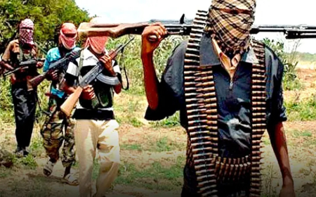 Terrorists kill 20 in Benue, kidnap 10 in Kwara, hours after Borno bloodbath 