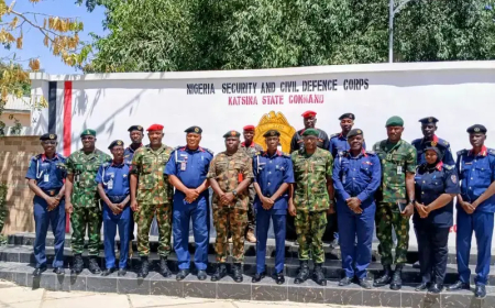 Army, NSCDC forge stronger alliance to combat insecurity in Katsina