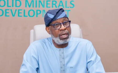 Tinubu’s reforms boost mining sector, attract foreign investment – Alake
