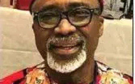 Defection: APGA asks Abaribe, Ikwechegh to vacate N’Assembly seats
