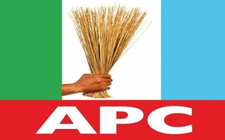 2027: No anointed NASS, state assembly candidates, says Osun APC