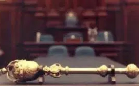 Cross River Assembly calls for ban on illegal logging at Monolith Heritage sites