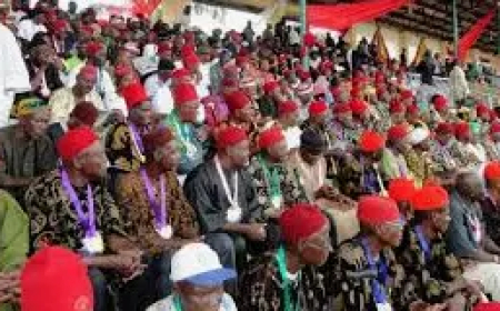 Igbo Elders say restructuring is about justice, balance, not division