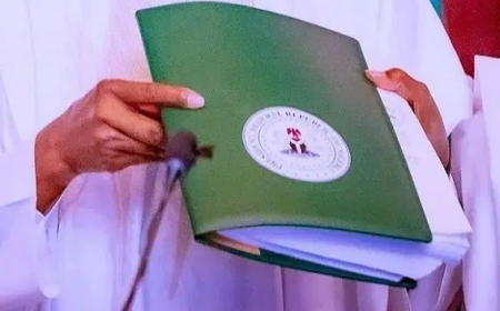 Electoral Act: Afenifere decries shielding candidates with fake certificates