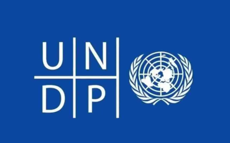 2026 United Nations UNDP Internship For Students and Graduates | ($1000 Stipend)