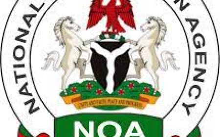 Nigerians must pay tax to demand accountability – NOA