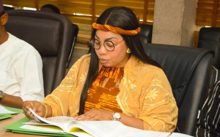 Hon. Bakare Omolola Olanrewaju: A Capable Lawmaker with a Distinction of Projects