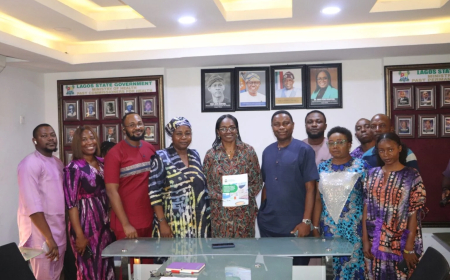 Lagos moves to enhance regulation of cosmetic products, procedures