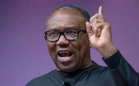 Obi slams attack on ADC secretariat in C’River