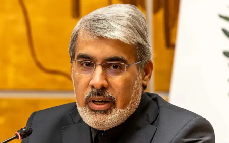 We will not submit to lawless aggression’ – Iran tells UN