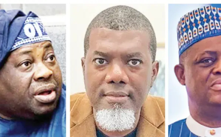 I don’t fight like pigs’ —  Dele Momodu fires back at Reno, Fani-Kayode