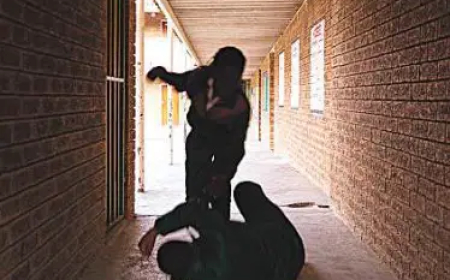 Bullying: Parents, schools have more work to do to stop it — Stakeholders