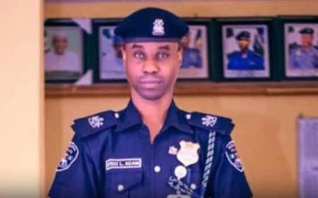 Jigawa police arrest 29 suspects for armed robbery