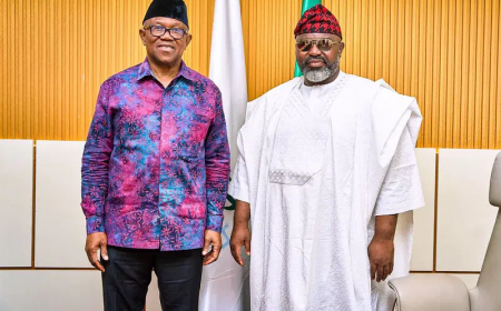 Kaduna cleric denies being detained after Obi’s visit