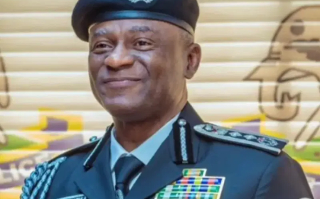 IGP Disu orders strategic posting of Senior Police officers nationwide