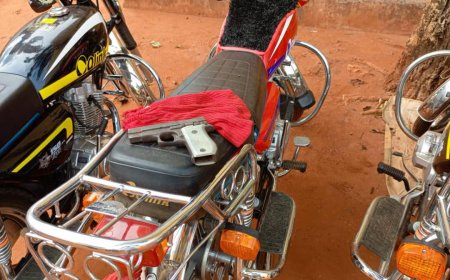 Police bust five-member criminal gang, recover firearms in Anambra