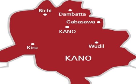 Scores feared dead as excavation pit collapses in Kano
