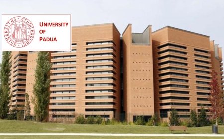 University of Padua International Excellence Scholarships 2026 in Italy | Fully Funded
