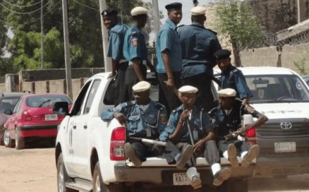 Kano Hisbah arrests 10 males, 11 females over immoral acts