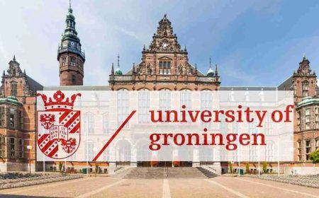 2027 Eric Bleumink Scholarship in the Netherlands | Fully Funded