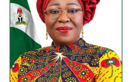 Female deputy gov seek 35% quota for women in state assembly