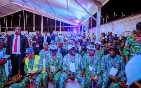 My decision to join APC yielding positive results – Delta gov