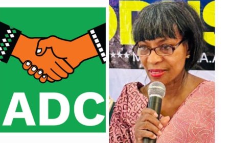 Ogun 2027: Odusina Picks ADC for Ogun Governorship Race