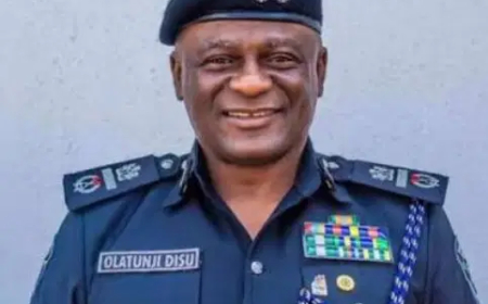 Proposed State Police to handle local criminal offences, domestic violence, homicide, armed robbery—Source 