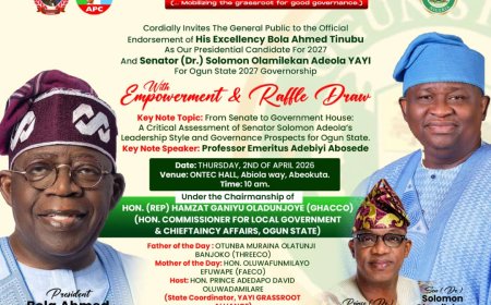 In Ogun, YGA Set To Unveil Major Endorsement for Tinubu, Adeola Ahead Of 2027