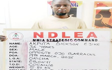 NDLEA uncovers cocaine hidden inside fish in Lagos