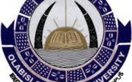 Police accused of assaulting, firing at protesting OOU students