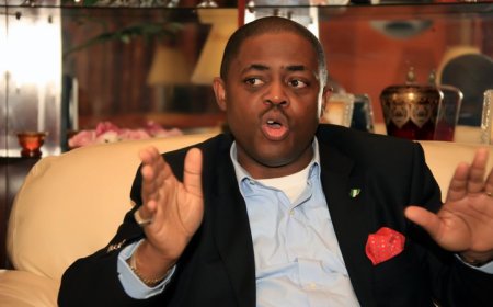 Germany did not reject my ambassadorial nomination, says Fani-Kayode