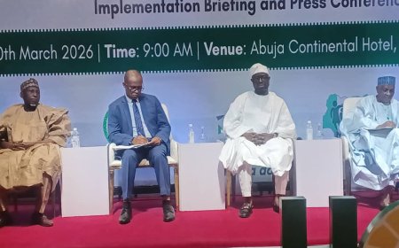 N688bn disbursed, nine million Nigerian homes receive FG cash transfer — Minister