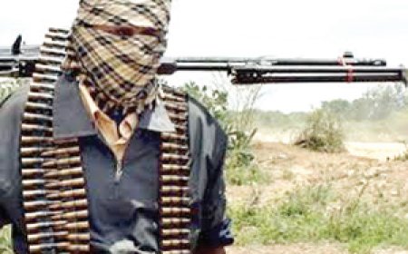 30 killed in armed raids near Niger-Nigeria border