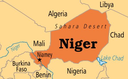 Fresh batch of 522 stranded Nigerians arrive Kano from Niger